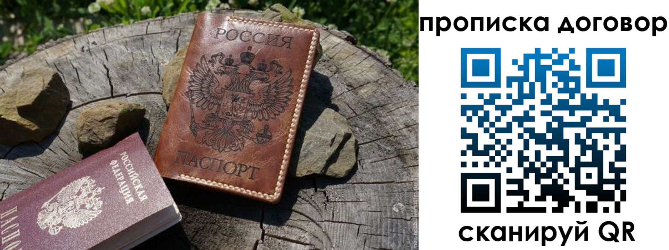 временная регистрация гарантия в Московской области